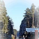 ���� ��������, ������, 77 ��� - ��������� 31 ������� 2017