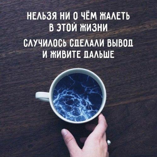   -  ,  -  - 15  2017  22:53