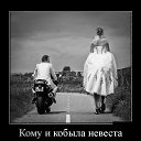  Aleks, , 65  -  17  2017    