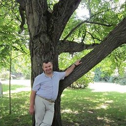 �������, �����, 62 ����