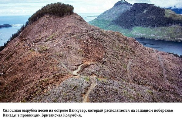 На грани апокалипсиса Влияние человеческой деятельности на Землю - 3