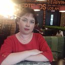 ���� ����, ����-��� - ��������� 29 ��� 2017 � ������ ���� ����������