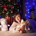 ���� �����, �����-���������, 42 ���� - ��������� 20 ���� 2017 � ������ ���� ����������