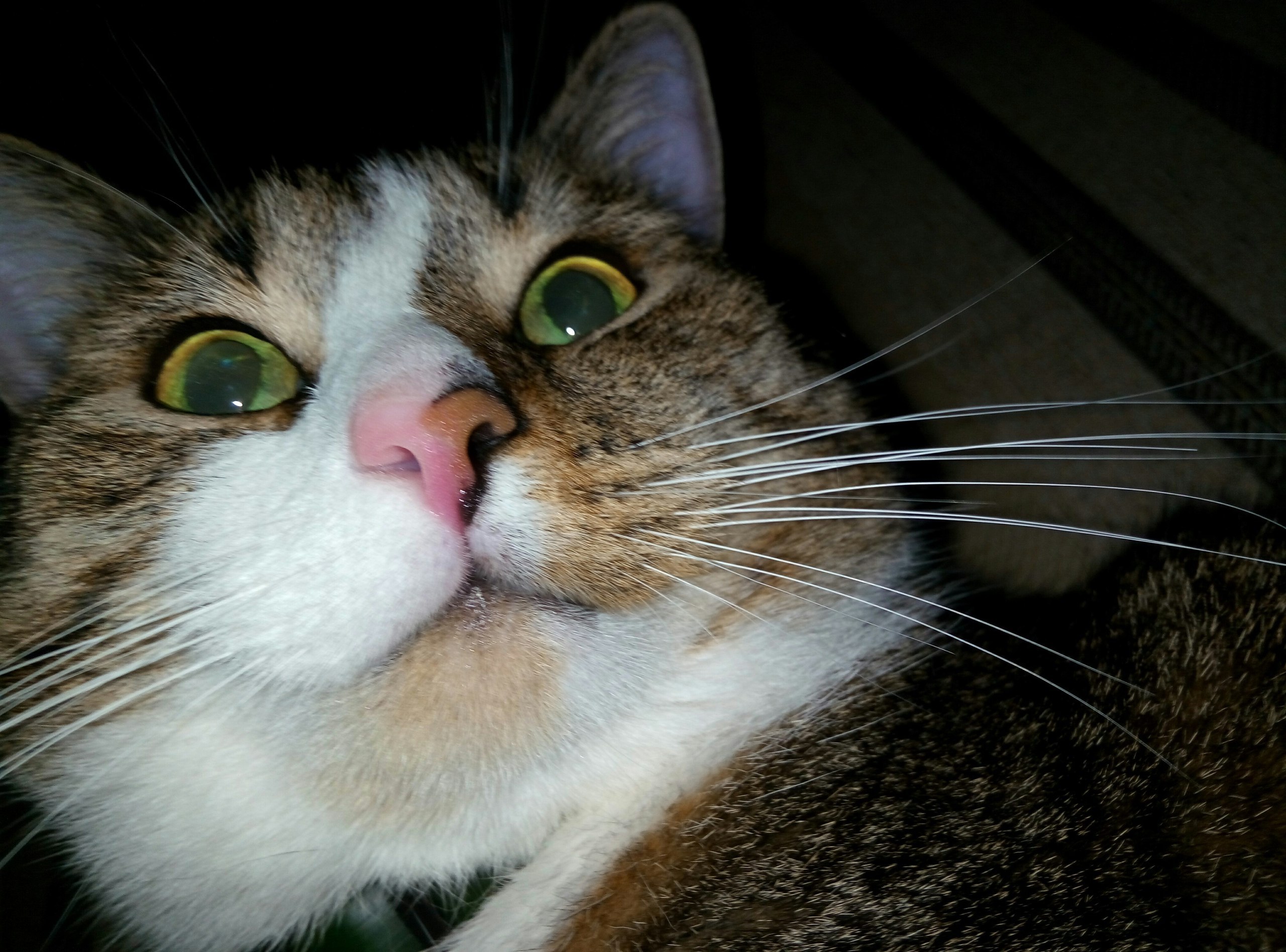 �� - 9 ������� 2017 � 10:21