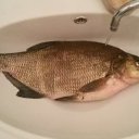 ���� ������, ����� ������, 58 ��� - ��������� 30 ���� 2017 � ������ ���������� ���� 2017�