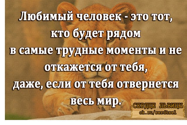  - 16  2017  13:50