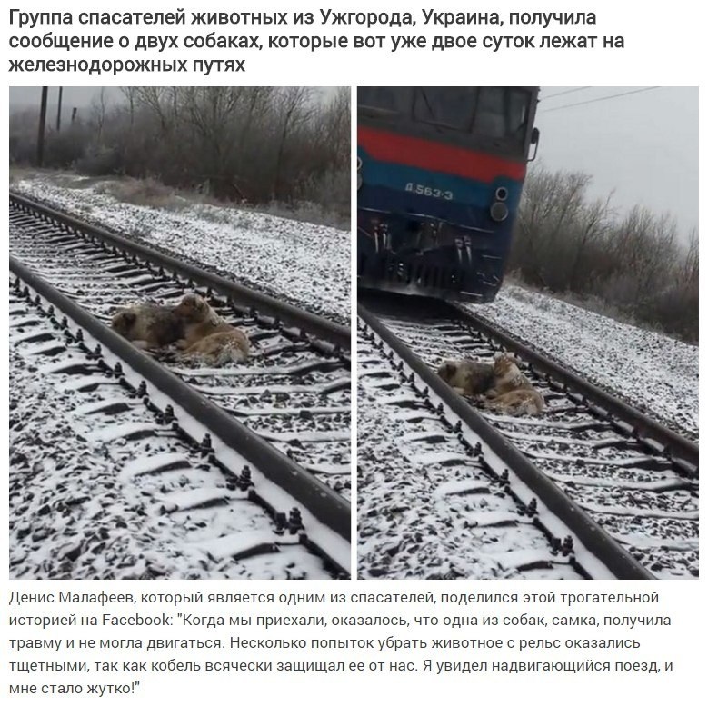     - 2