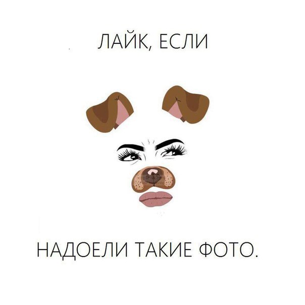    - 20  2017  10:15