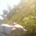 ���� Nickolas, ��������, 45 ��� - ��������� 23 ��� 2017 � ������ ���� ����������