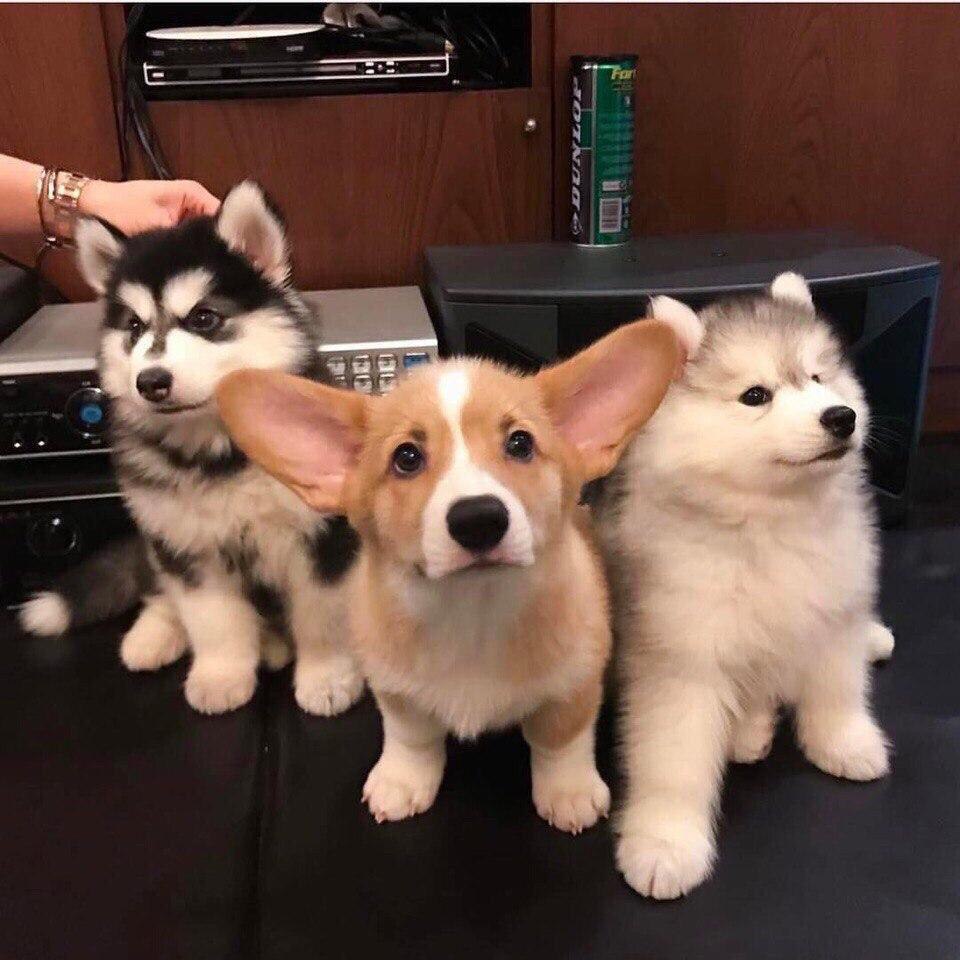 )