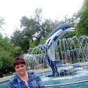 ���� �������, �����������, 44 ���� - ��������� 8 ���� 2017 � ������ ���������� ������