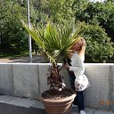 ���� ������, ������ - ��������� 26 ���� 2017 � ������ ���� ����������