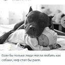 ���� �������, �����-��������� - ��������� 25 ������ 2017