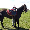 ���� �������, ������, 54 ���� - ��������� 20 ������ 2017 � ������ ���� ����������