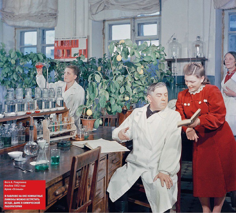     ,    , 1952 .