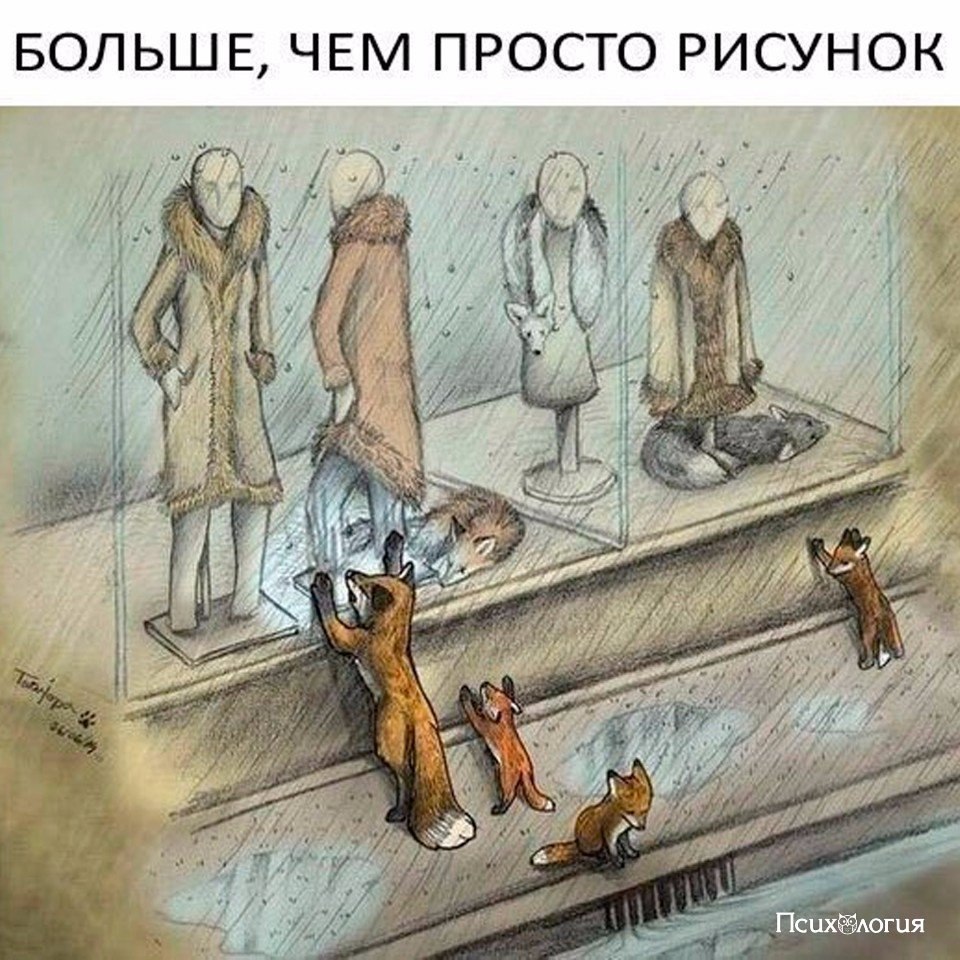  - 14  2017  15:37