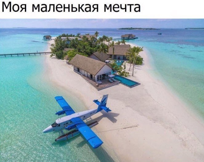 ����� �������� - 19 ��� 2017 � 17:53