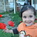  ,  -  7  2017      ۻ