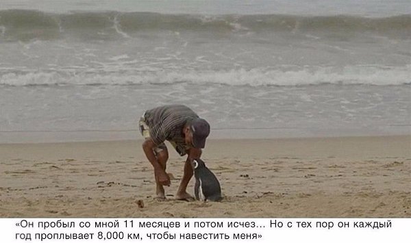   8,000   ,   ,    . - 4