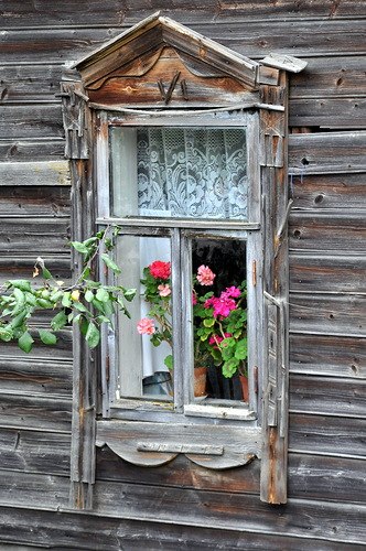 Сегодня на Фотостране День сказочных цветов. Полюбуемся на них позже. А пока - о Любви ... - 2