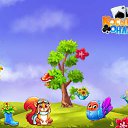 ���� �����, ������ - ��������� 11 �������� 2017 � ������ �������� �������-�������