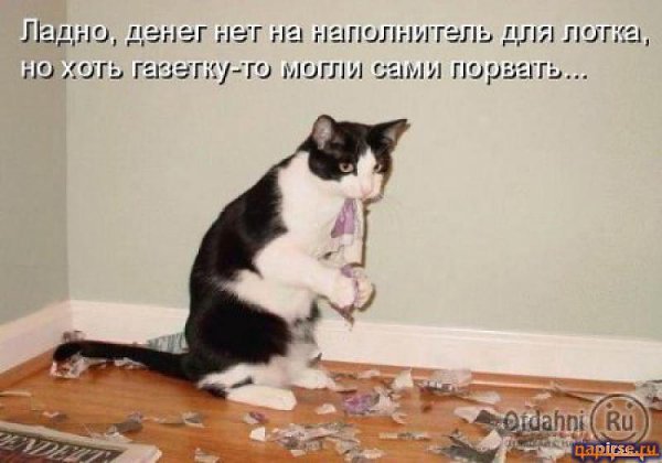 � ����� �����! - 28 ������� 2017 � 06:03