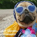 ���� Swetlana, ��������, 49 ��� - ��������� 2 ��� 2017 � ������ ������ ��������