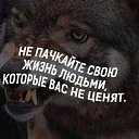 ���� �����, ������, 36 ��� - ��������� 3 ���� 2017 � ������ ���� ����������