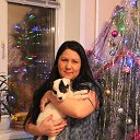 ���� �����, �����, 44 ���� - ��������� 21 ���� 2017