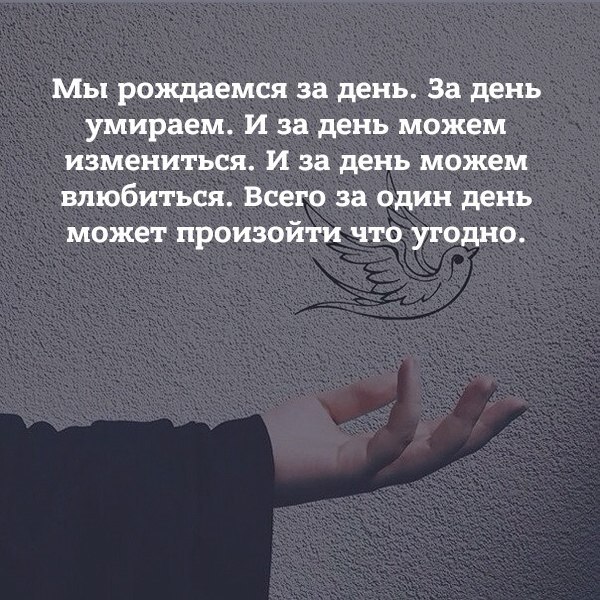  | ,  - 18  2017  01:26