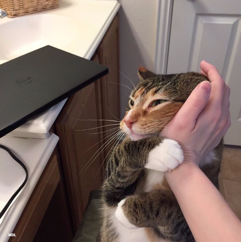    : - 2