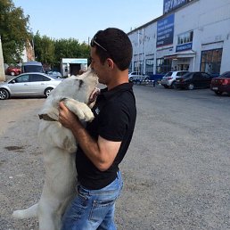 Hovik, ������, 40 ���