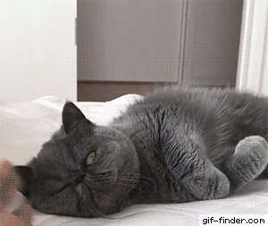 !   ? -  ?