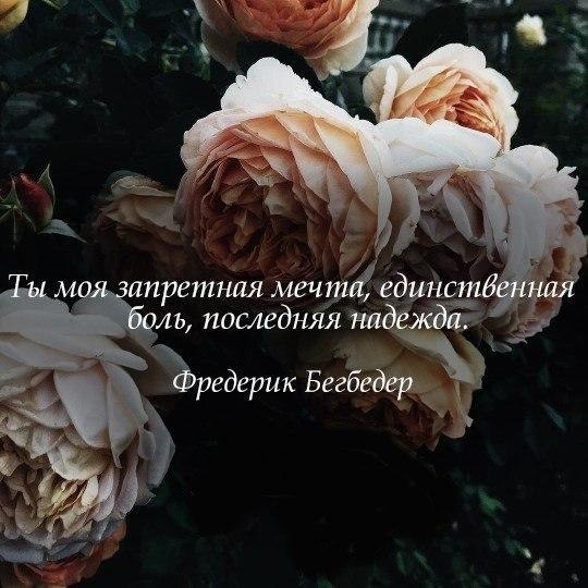  - 14  2017  08:13
