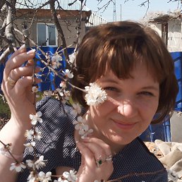 ��������, ��������