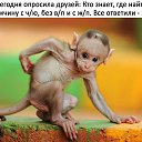 ���� �����, ������ - ��������� 5 �������� 2017 � ������ ������ ��������