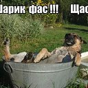 ���� �adam, ������ - ��������� 7 ���� 2017 � ������ ������ ��������