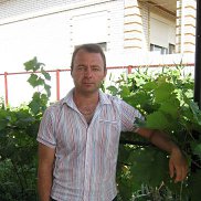 ��������, 50 ���, ������������