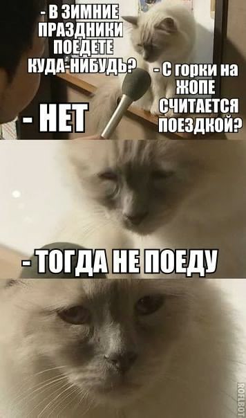   - 14  2017  03:58