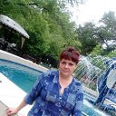 ���� �������, �����������, 44 ���� - ��������� 8 ���� 2017 � ������ ���������� ������