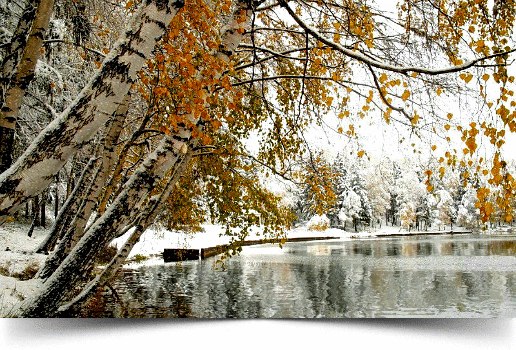 Скоро ангел достанет с полки.Свои теплые зимние крылья...Осторожно стряхнув снежинки,В зеркало ...