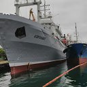  , , 51  -  29  2017    2017