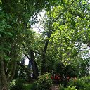  , , 60  -  17  2017      ,17.05.17.