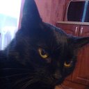 ���� �������, �����, 60 ��� - ��������� 6 ���� 2017 � ������ ������ ��������