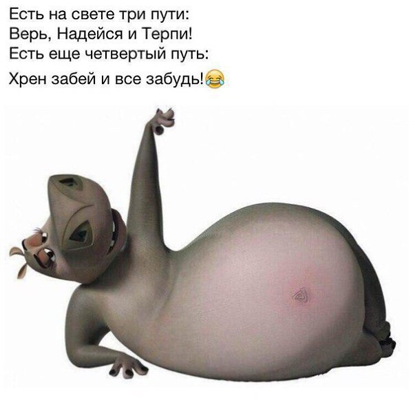    - 1  2017  14:44