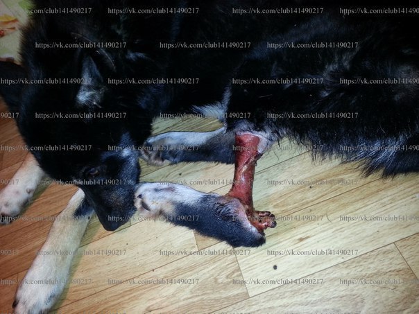 -  .   !   ,   ,   ,  ... - 2