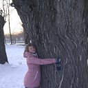 ���� ����, �����, 51 ��� - ��������� 16 �������� 2017 � ������ ���������� ������