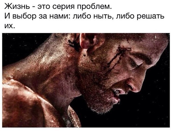  -   - 6  2017  18:35