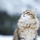 ���� ˸��, ����������� - ��������� 24 ���� 2017 � ������ �������