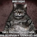 ���� ����, �������, 57 ��� - ��������� 23 ������ 2017 � ������ ������ ��������
